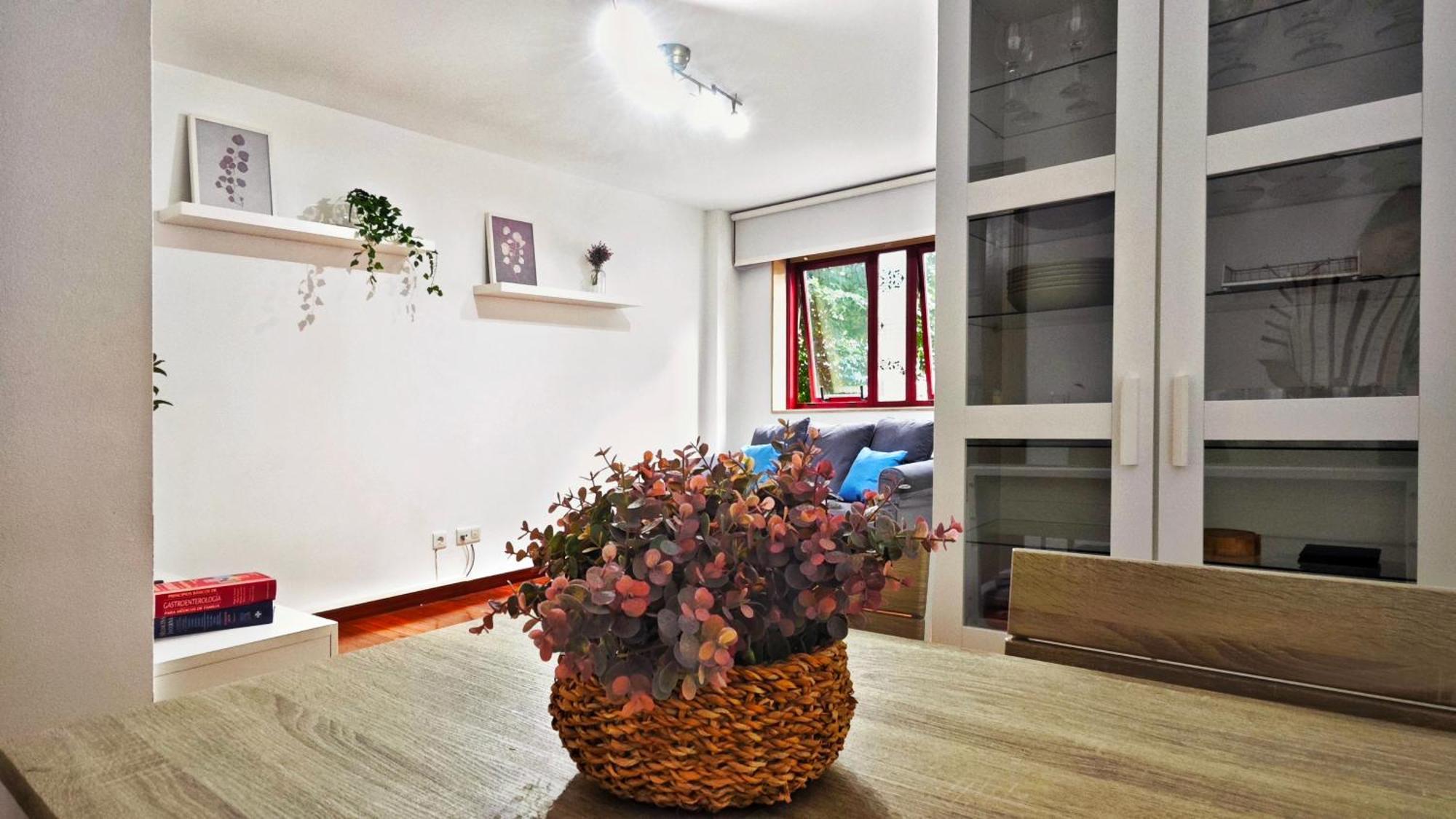 Piso Centrico Santiago De Compostela Con Amplia Terrazaアパートメント エクステリア 写真